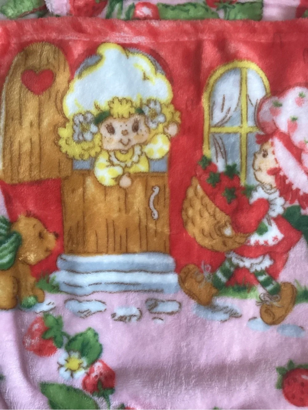 NWT Strawberry Shortcake Pink Plush Blanket 50x70
